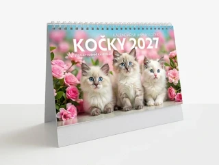 Kalendář 2027 stolní Kočky